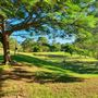 Camp Moogerah