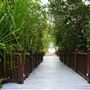 Pullman Palm Cove Sea Temple Resort & Spa