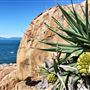 Cape Edgecumbe