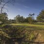 Leslie Park