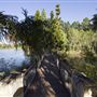 Spring Lake Park