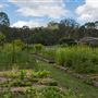 Ivory's Rock Conventions and Events - Overview