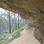 White Rock - Spring Mountain Conservation Estate