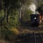 Queensland Pioneer Steam Railway