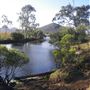 Meandering Creek & Lush Wetlands - Hedlow Creek