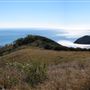 Kemp Beach and Bluff Point Scenic Walk