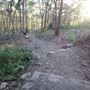 Mount Gravatt Outlook Reserve - Summit Track