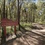 Karawatha Forest Park - Overview