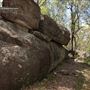 Toohey Forest Park (incl. Mount Gravatt Outlook Reserve) - Overview