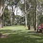 Mt Coot-tha Forest - Overview