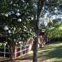 Mountain Community Art Centre