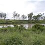 Blue Gum Reserve