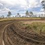 Willowbank MX