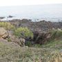 Campwin Beach Lookout / Coral Point Reef