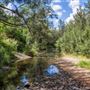 Bunya River Crossing (Albany Creek)