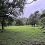 Neranwood Farm