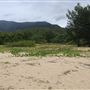 Wangetti Beach