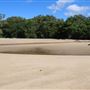 Kewarra Beach
