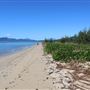Yorkeys Knob Beach