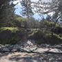 Shelly Beach