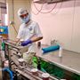 Mungalli Creek Bio-Dynamic Dairy
