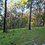 Hayes Property