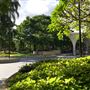 Cathedral Square - Brisbane