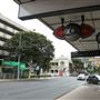 Ann Street - Fortitude Valley