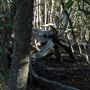 Epapah Creek - Karl's Pier track