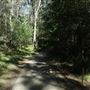Cornubia Forest