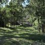 Cornubia Forest
