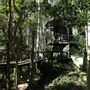 Daisy Hill Koala Centre