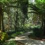 Daisy Hill Conservation Park