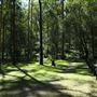 Daisy Hill Conservation Park