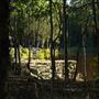 Hemmant Quarry Reserve