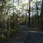 Hemmant Quarry Reserve