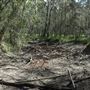 Boondall Wetlands