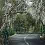 Boondall Wetlands