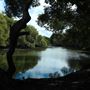 Curlew Park - Cabbage Tree Creek