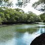Curlew Park - Cabbage Tree Creek