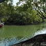 Curlew Park - Cabbage Tree Creek
