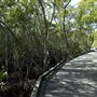 Nudgee Beach Wetlands Reserve