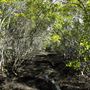 Nudgee Beach Wetlands Reserve