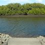 Nudgee Beach Wetlands Reserve