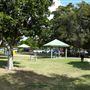 Tuckeroo Park & Dog beach