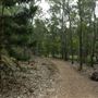 Enoggera Reservoir