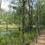 Enoggera Reservoir