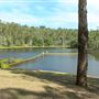 Enoggera Reservoir