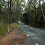 Jolly's Lookout