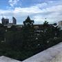 William Jolly Bridge